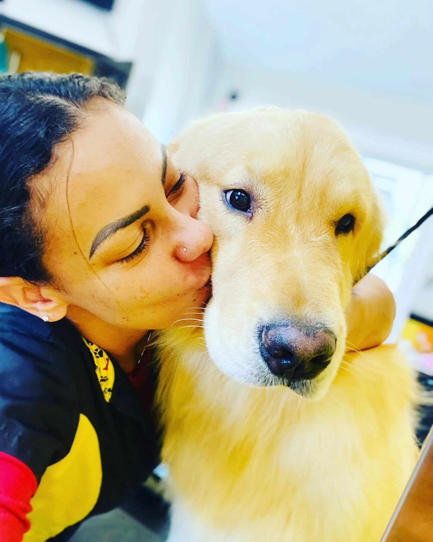 Choosing a Dog Groomer in Lowell, MA: 7 Things to Look For